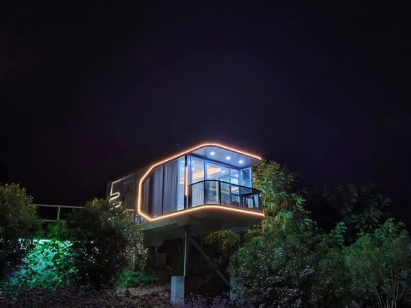 capsule t50 capsule t50