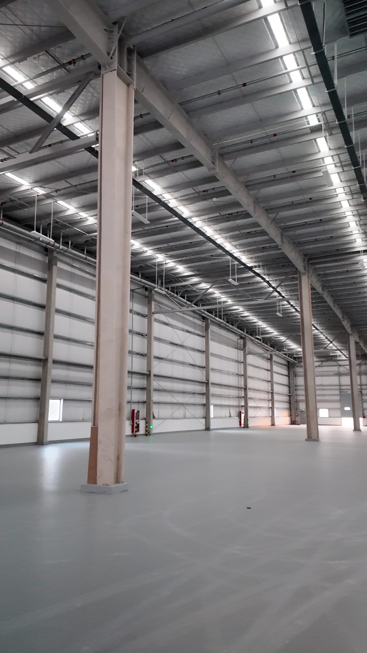 RuiZhe Logistics default